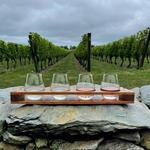 Newport Vineyards