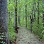 Hemlock Bluffs Nature Preserve
