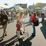 The Sebastopol Farmers' Market