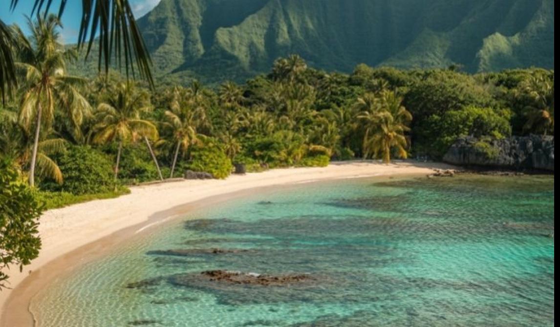 d46ddf6c-7d4c-49b0-81b8-3fc074a3a3e2