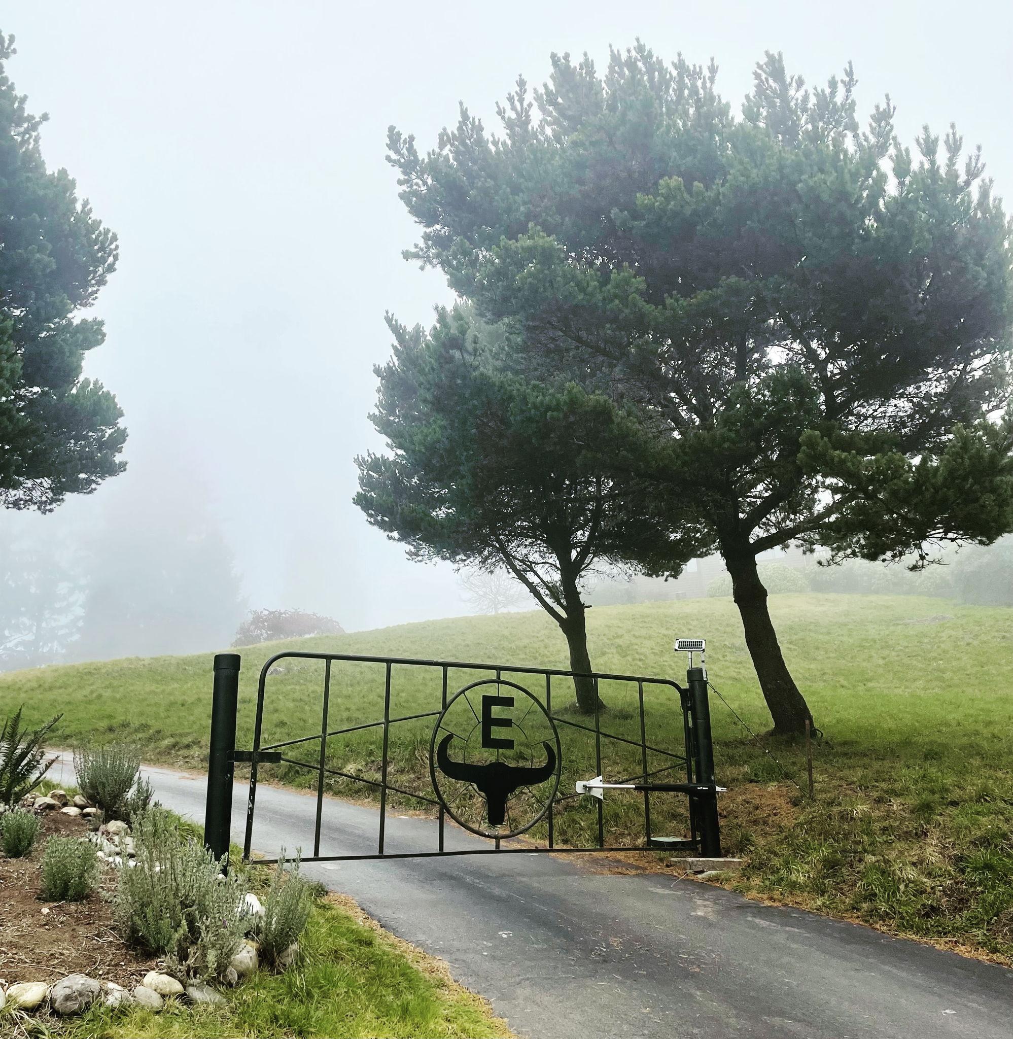 The Wedding Website of Julie Beck and Tanner Ehorn