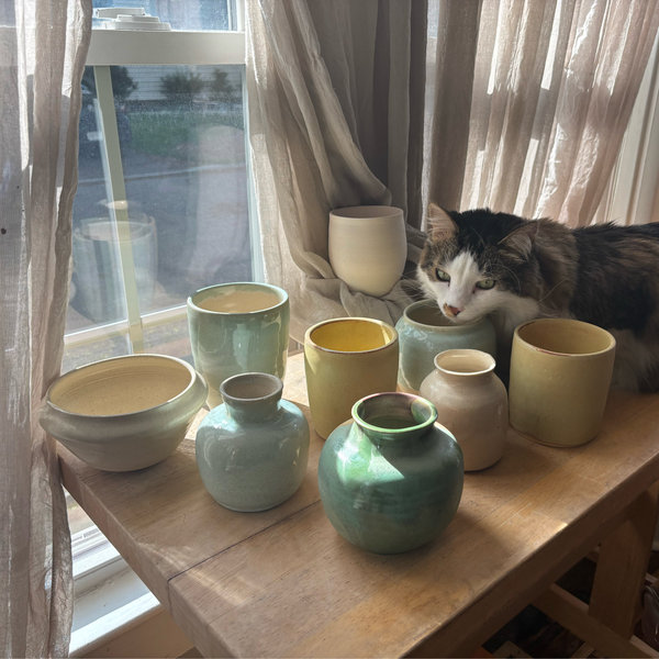 help Sophia buy a pottery wheel