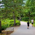 Place to Run before the Wedding, Delaware Park!