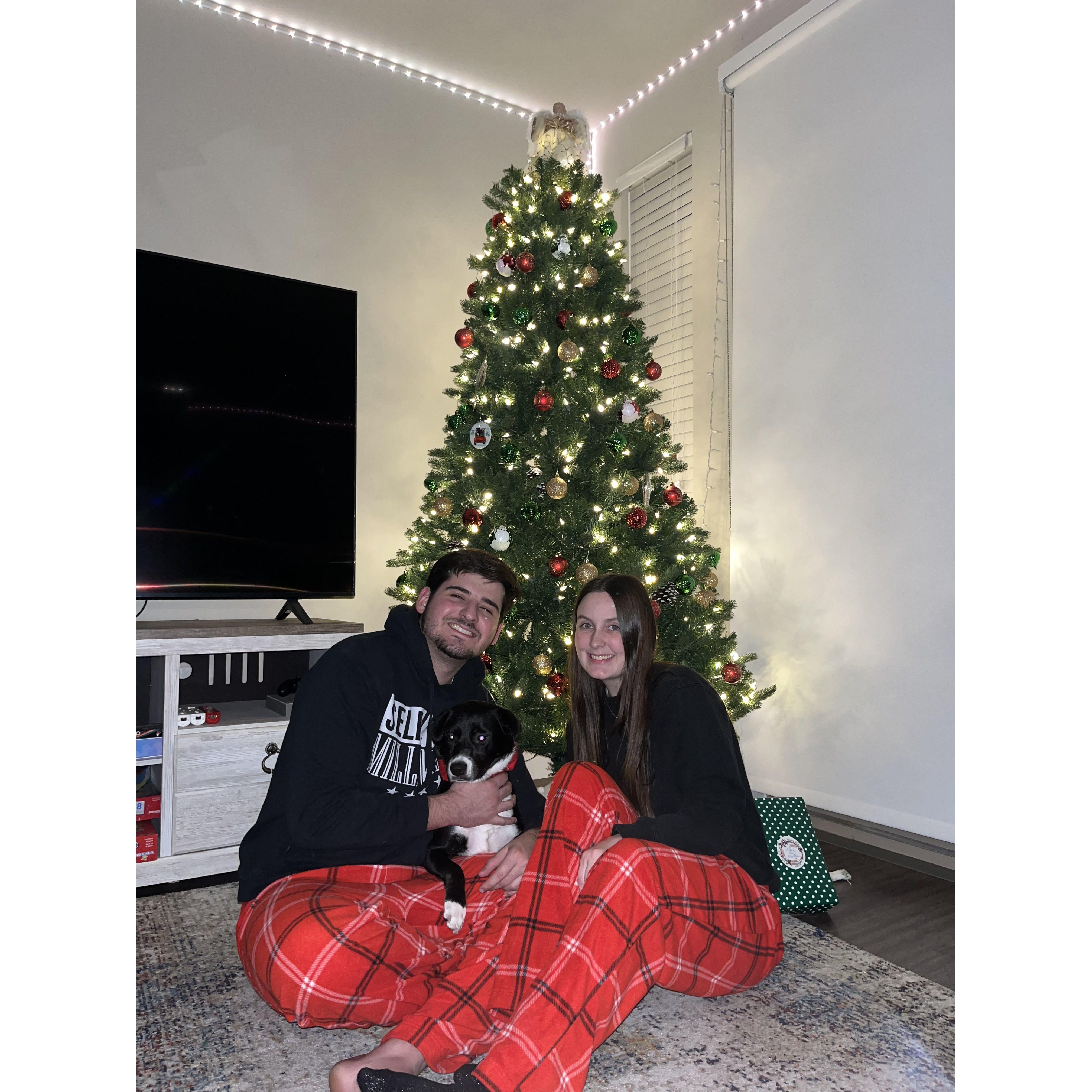 First Christmas with our fur baby