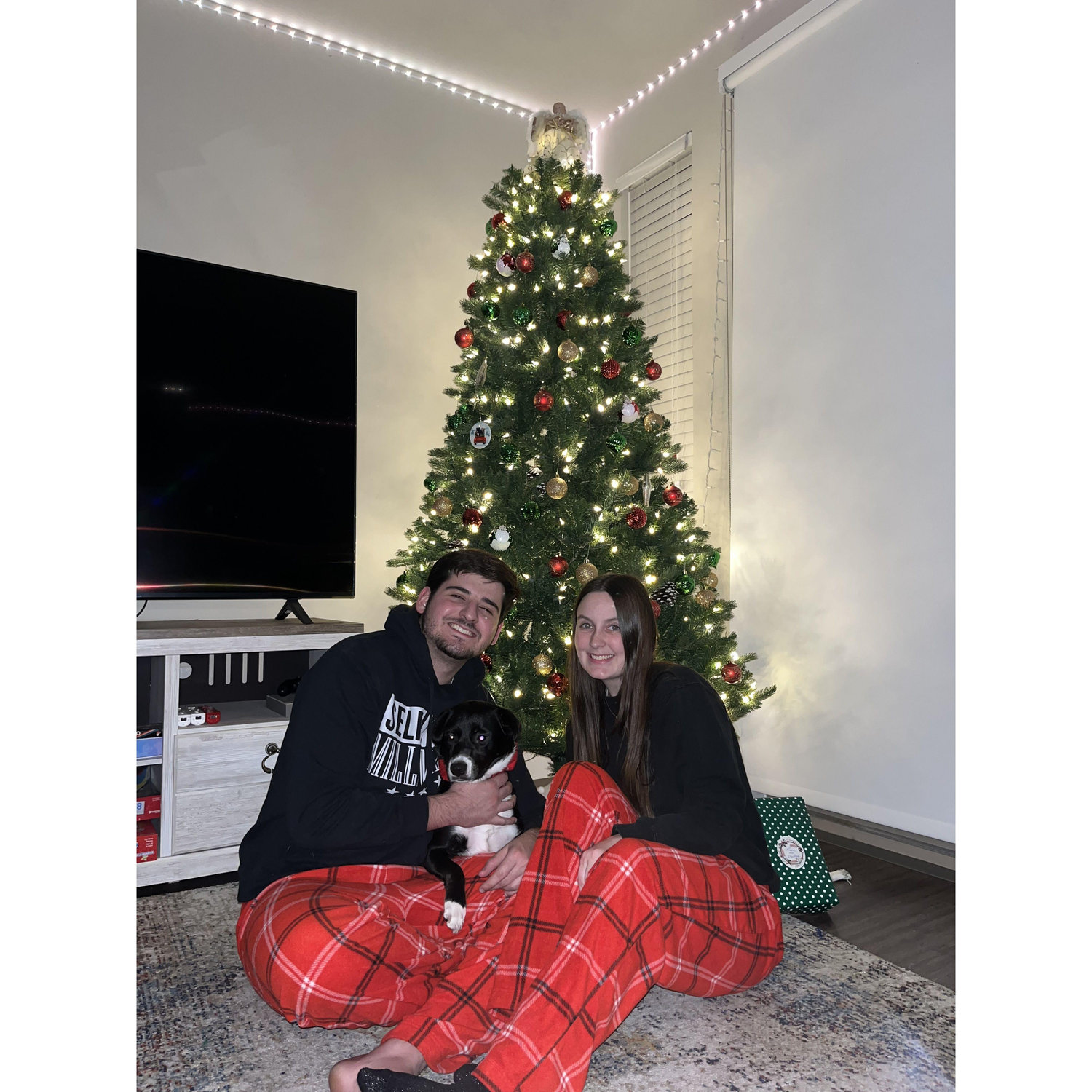 First Christmas with our fur baby
