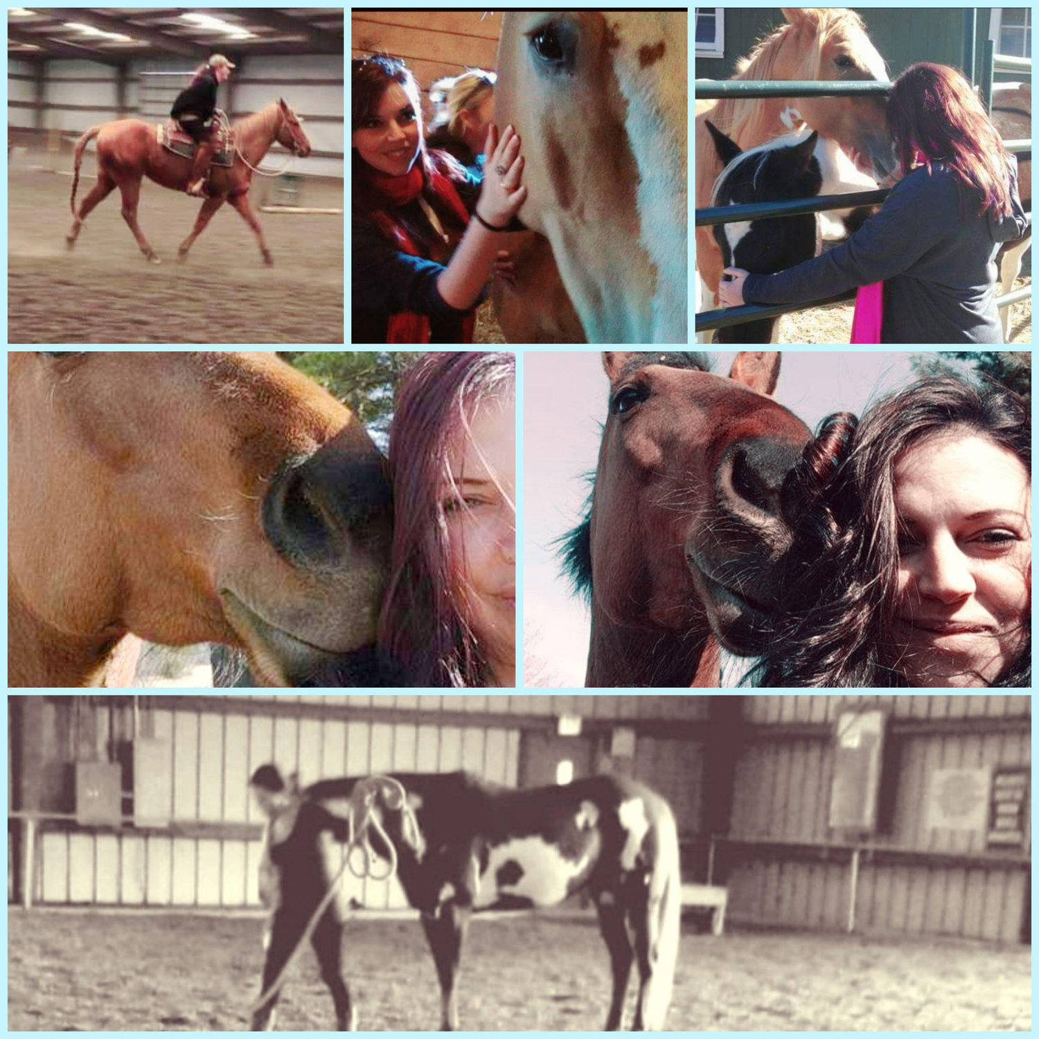 I like things that neigh.