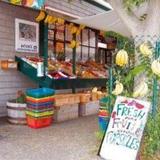 Hatch's Fish Market