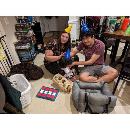 Oliver's first gotcha day. Bella remains unimpressed