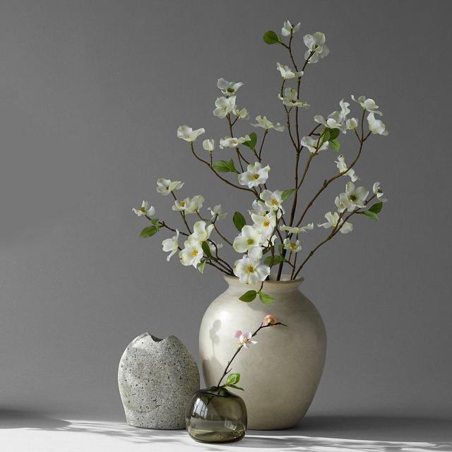 Dogwood Branches