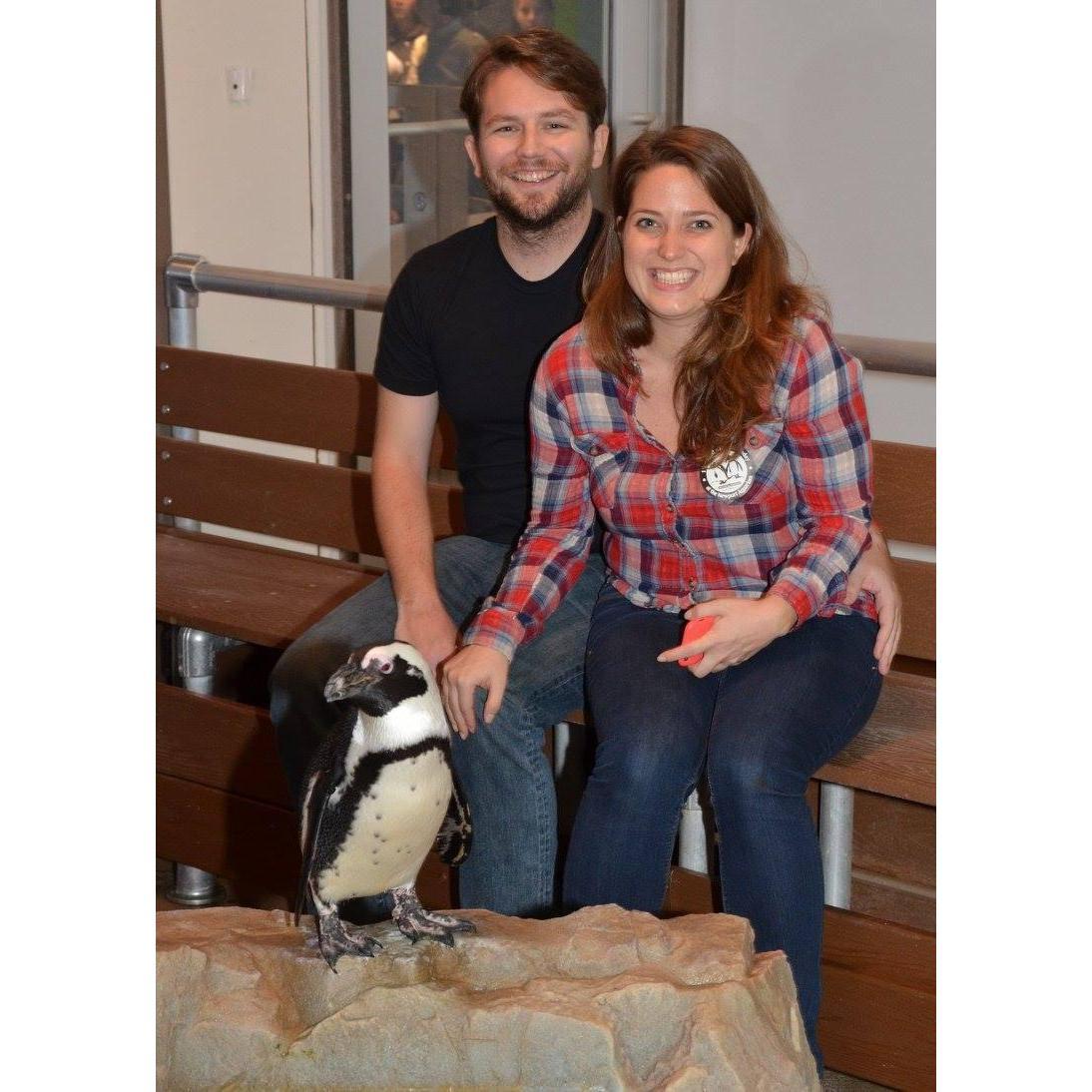 Louisville, KY in 2015 - and that's a real penguin!