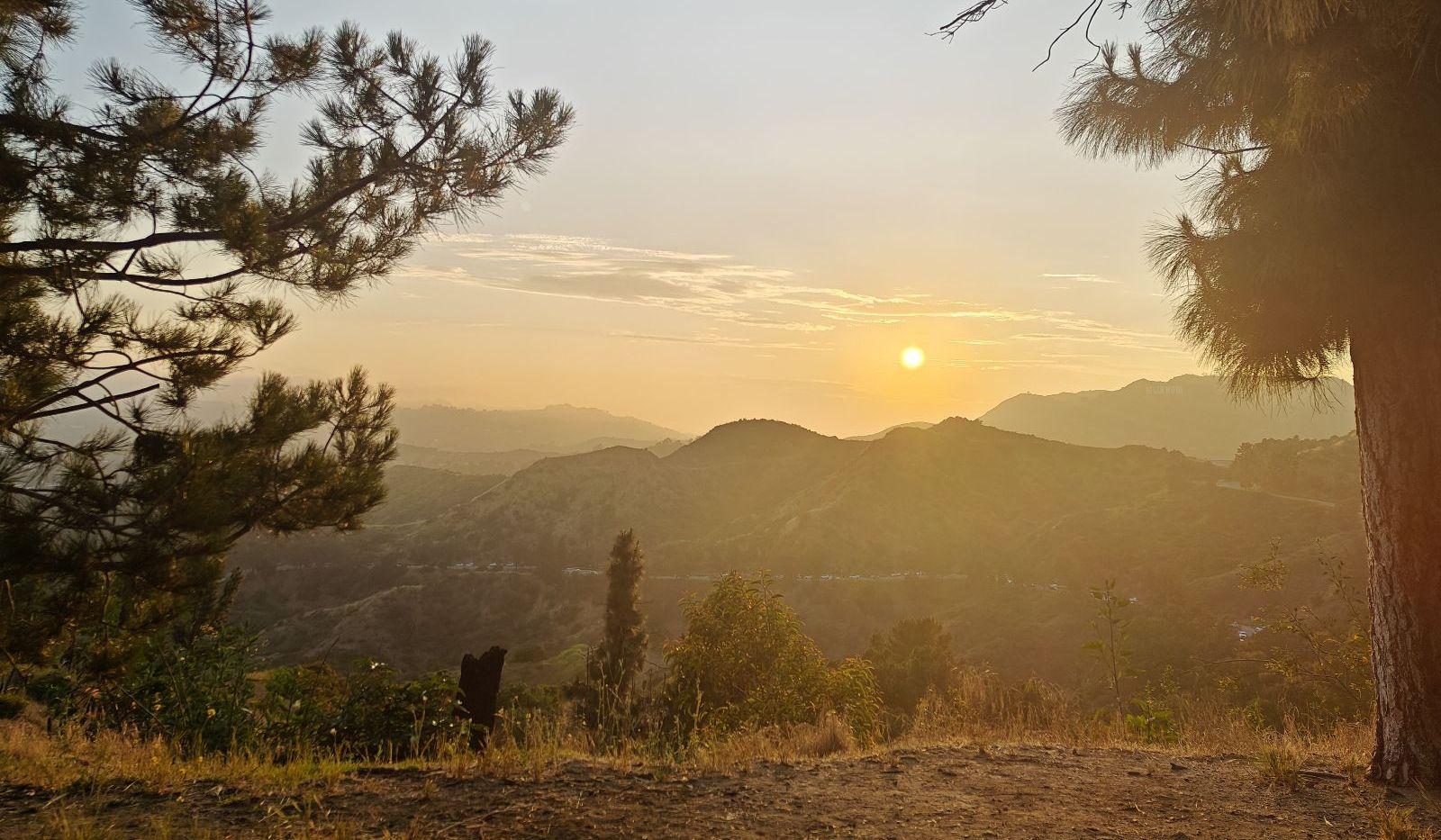 The Wedding Website of Jack Brungardt and Rosie Roch