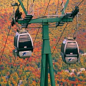 Honeymoon Fund - Gondola Ride & Disc Golf Rental