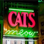 The World Famous Cats Meow | Karaoke New Orleans