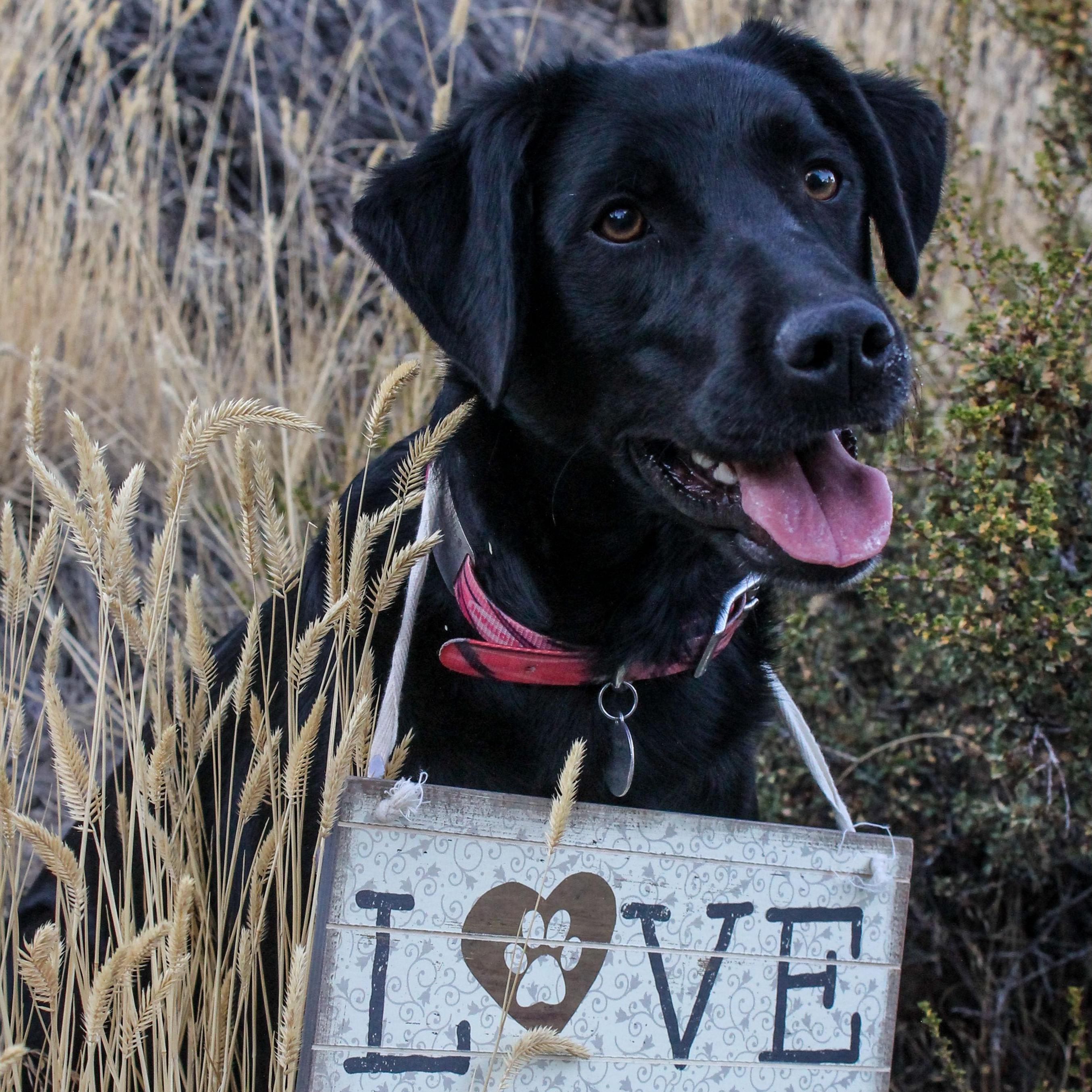 Our little monster herself!