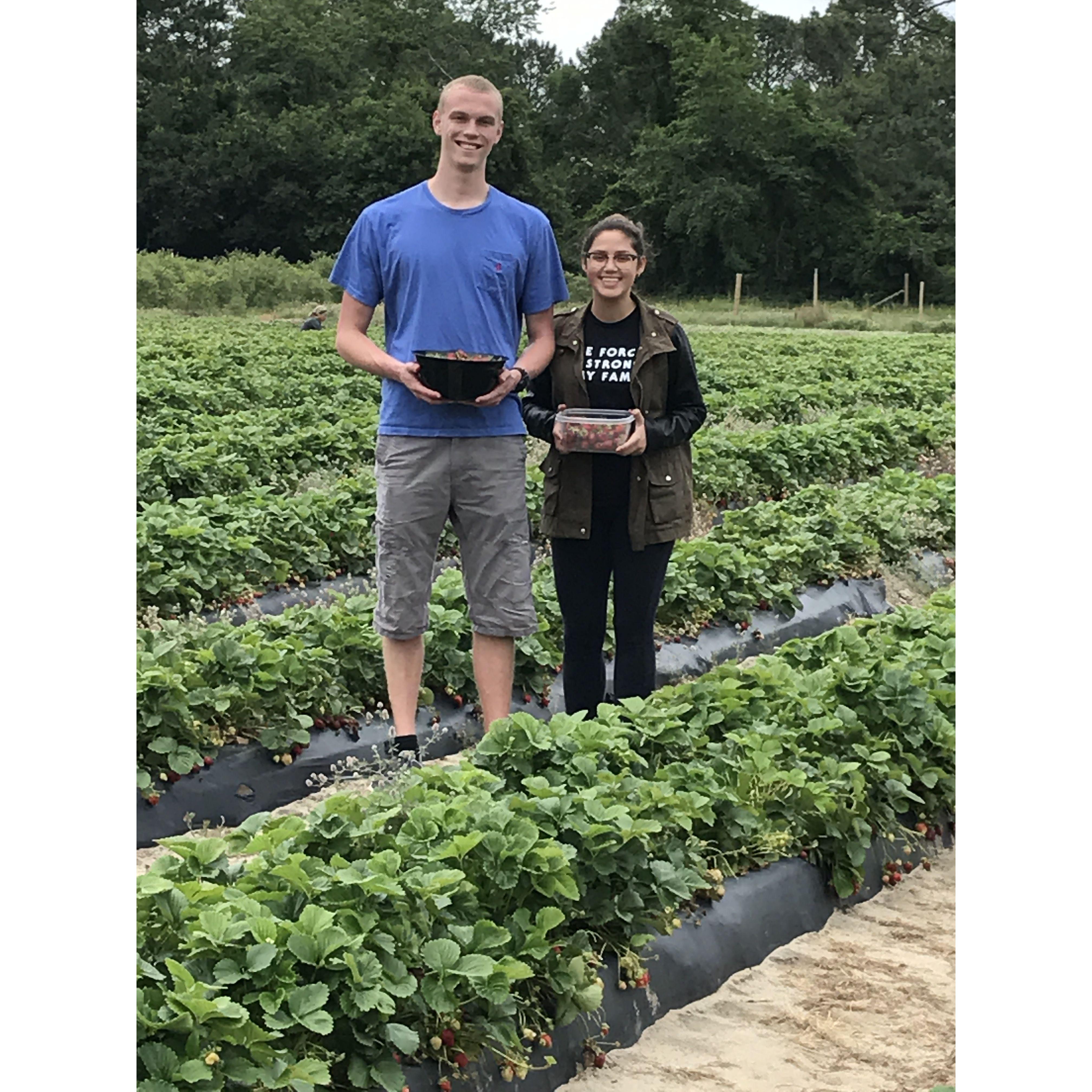 Ana's first visit to the Outer Banks: we went strawberry picking