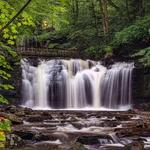 Ricketts Glen Falls Trail
