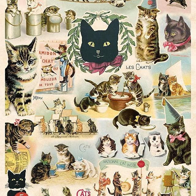 Cavallini Decorative Wrap Poster Cat, 20 x 28 inch Italian Archival Paper (WRAP/CAT)