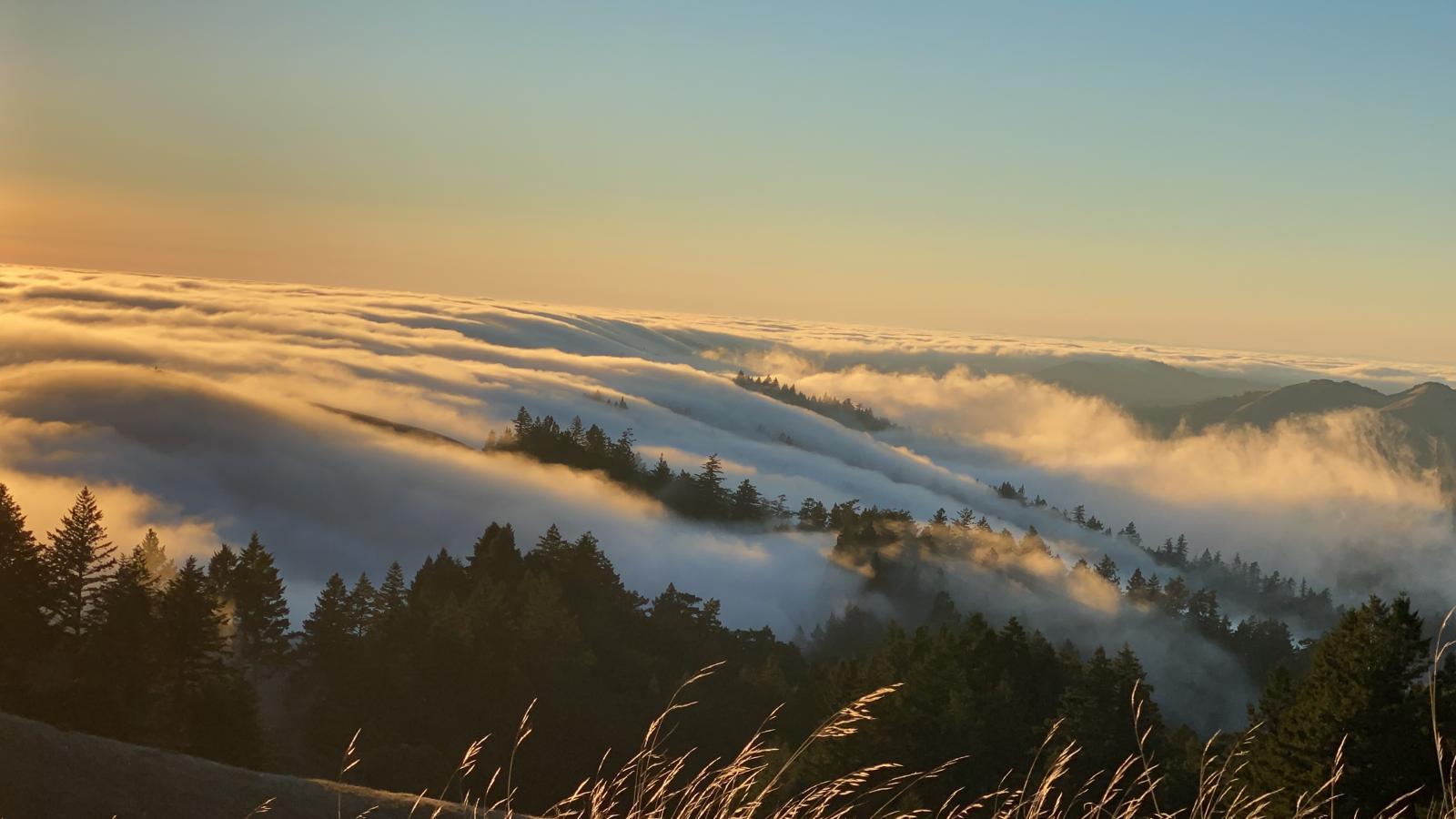 The Wedding Website of Jess Segal and Bill Paine