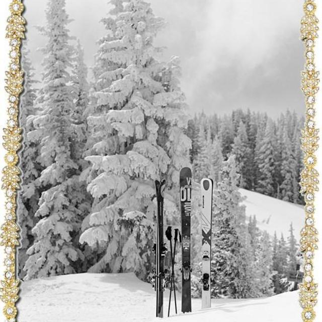 duchess gold frame 8x10