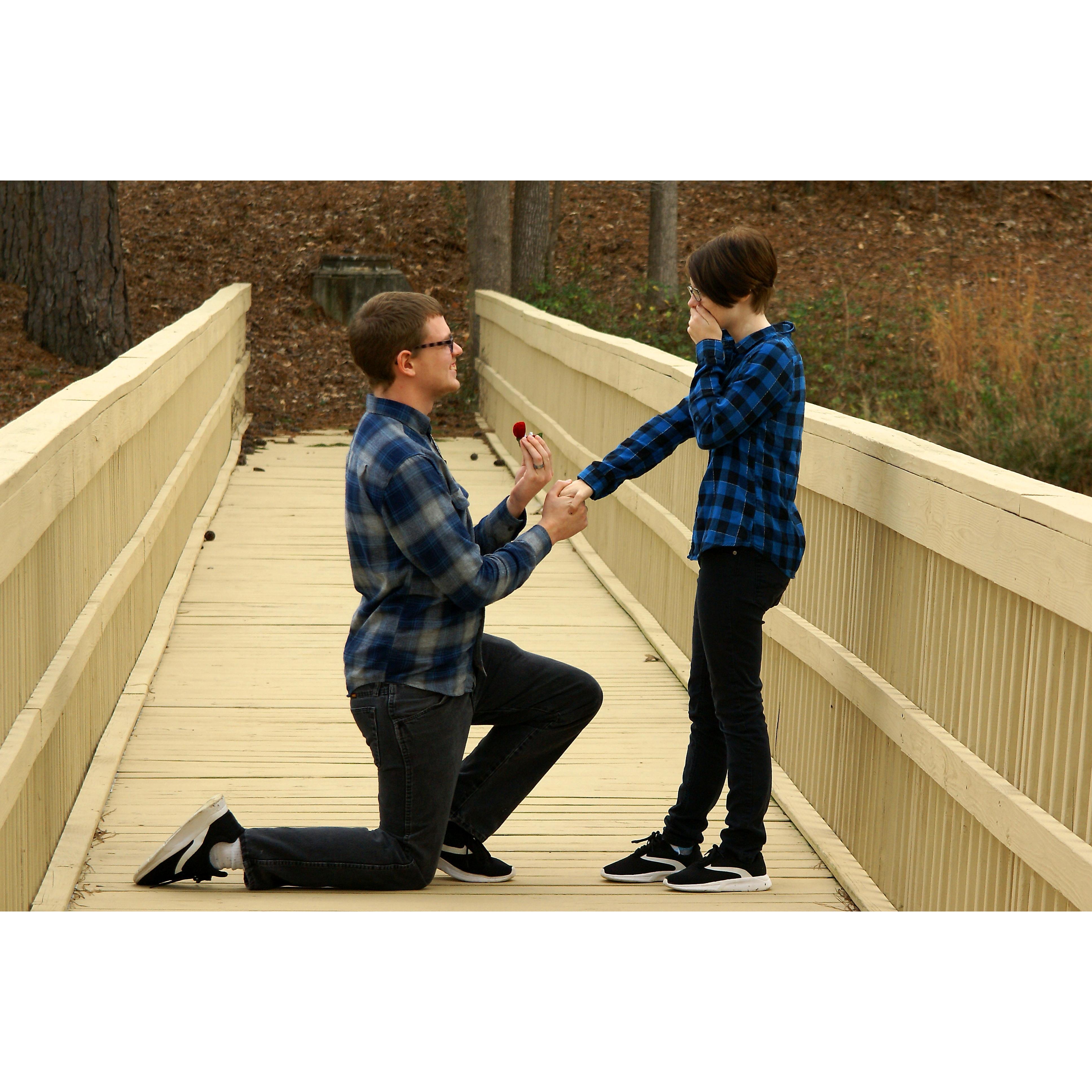 The proposal February 2nd, 2019