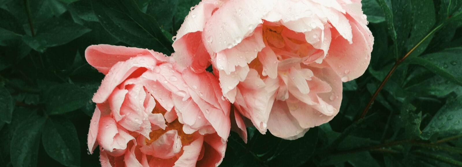 d47e0f15-63e4-470f-8398-d9a33380c931