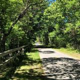 Cape Cod Rail Trail