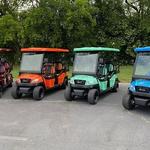 Historical Golf Cart Tour of Uptown (Southern Charm Rides)