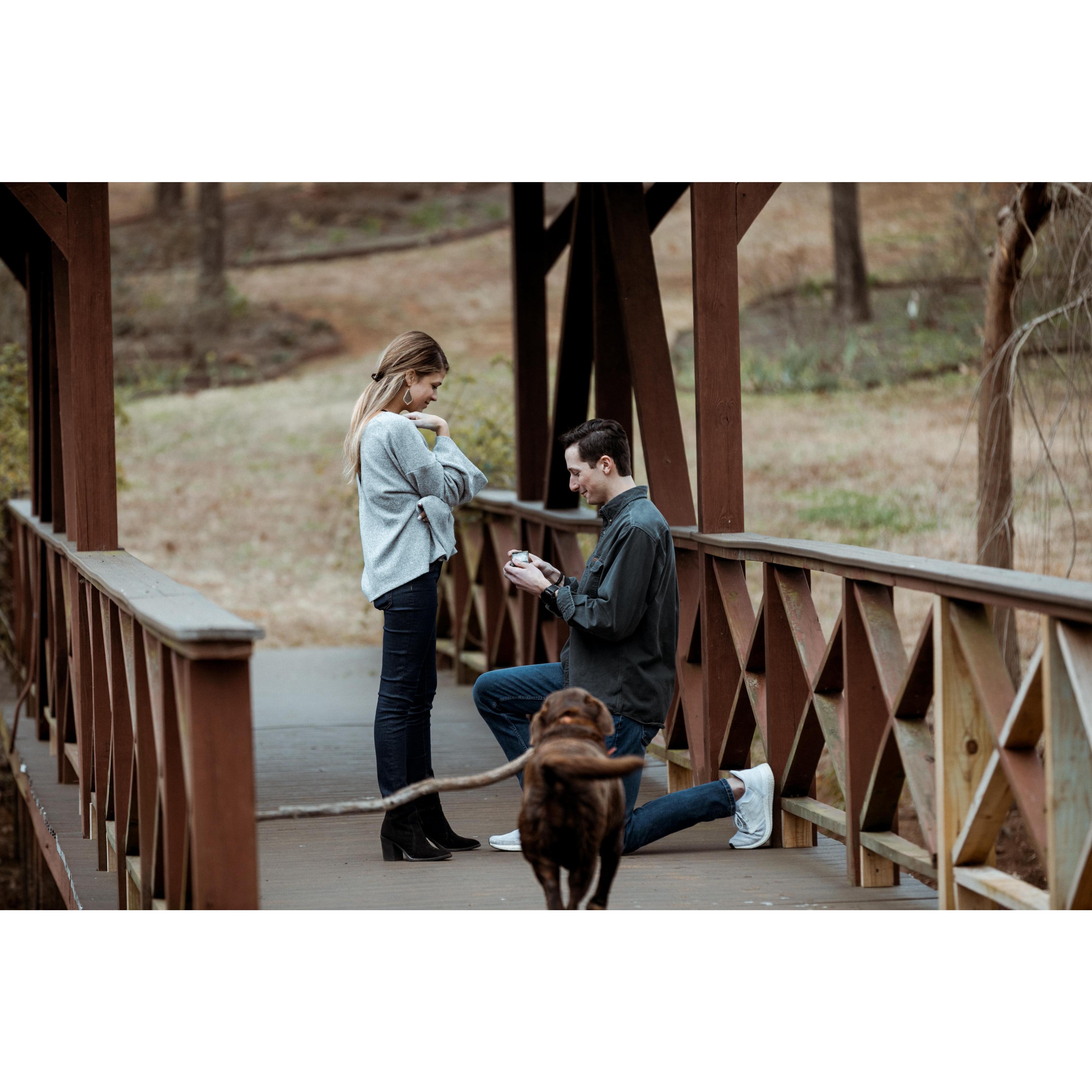 His proposal