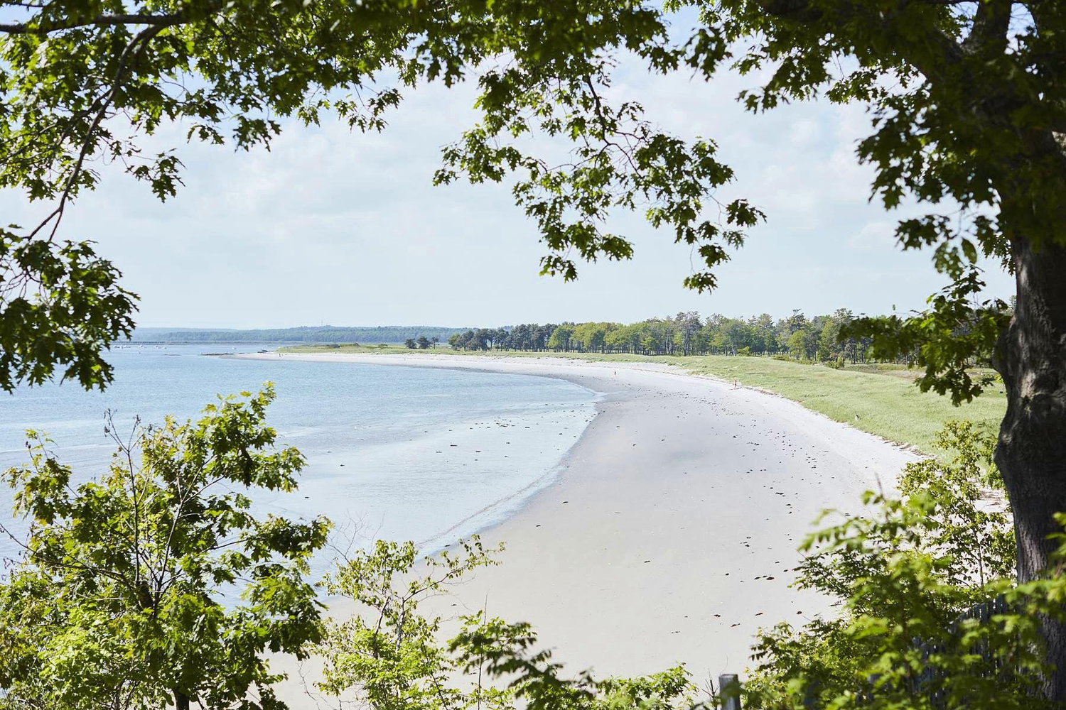 The Wedding Website of Justin Carwile and Allison Foden