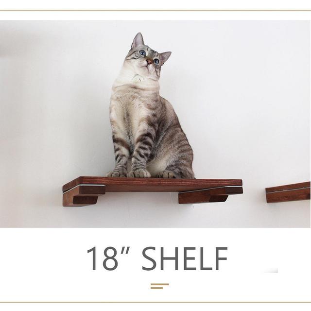Cat Mod – 18″ Shelf in English Chestnut