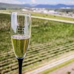 Finca Sala Vive by Freixenet