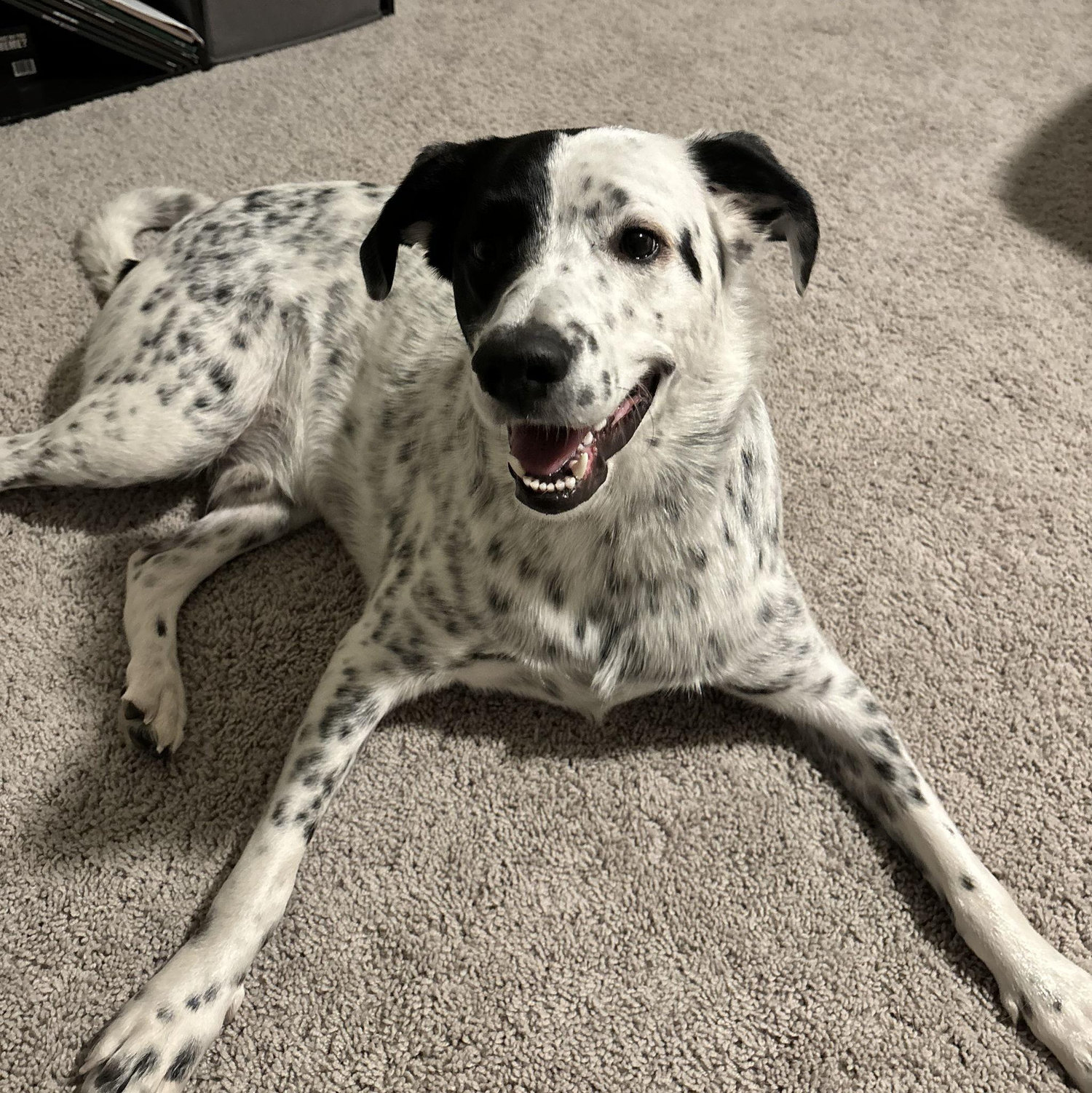 Our Obi<3