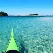 Manatee Kayak Tour