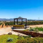 Bodegas F. Rubio