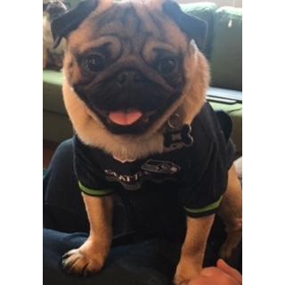 #1 Fan (of the gameday snacks, that is)