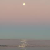 Windansea Beach