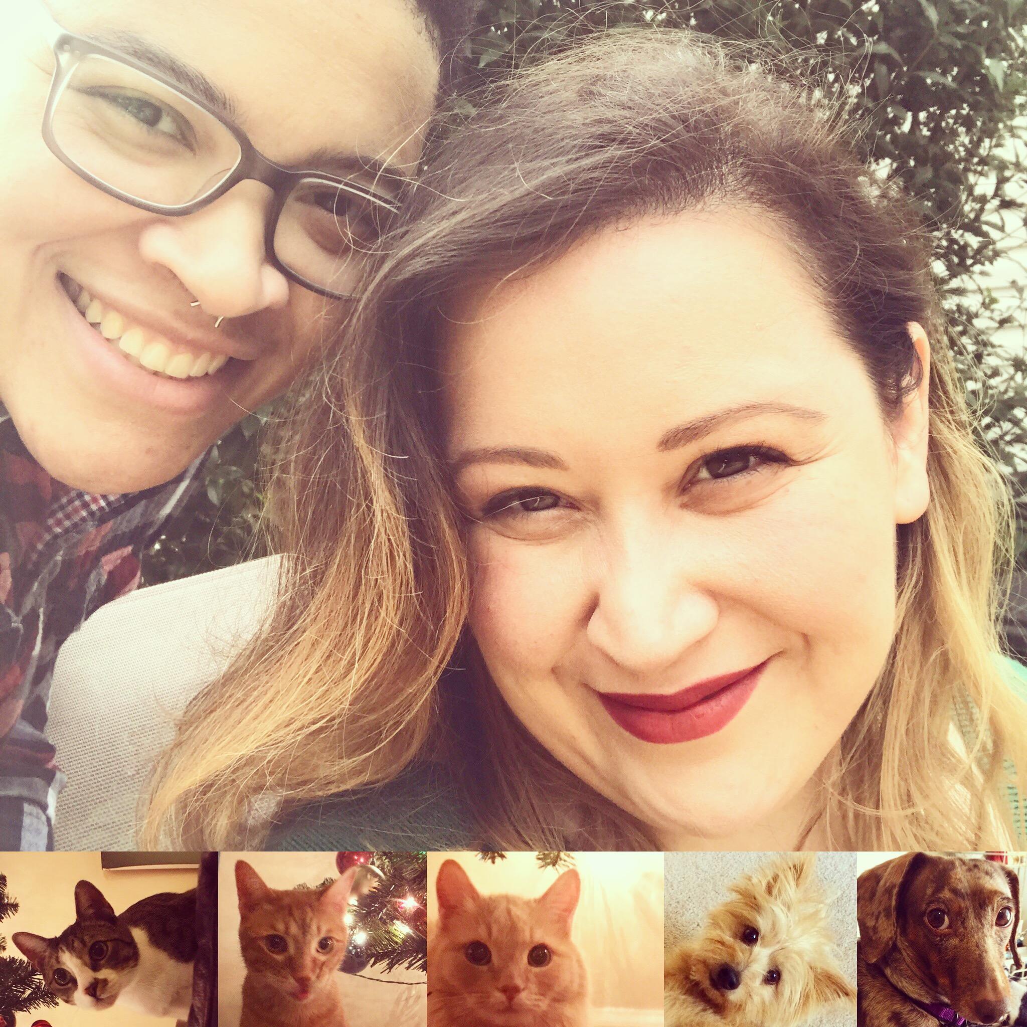 "Cats and dogs and rooster calls..."