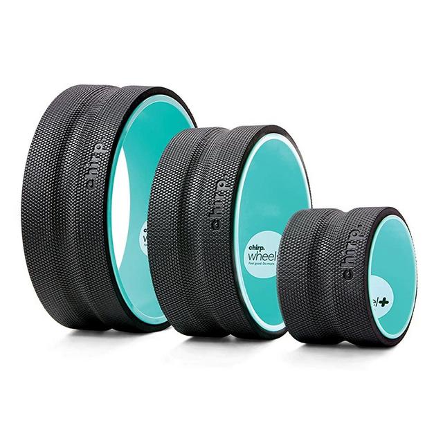 Plexus Chirp Wheel for Back Pain, Stretches and Strengthens Core Muscles, Relieves Strain to Muscles and Ligaments, Helps Prevent Herniated/Bulging Discs, Arthritis, and Osteoporosis