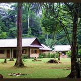 Iwokrama Forest