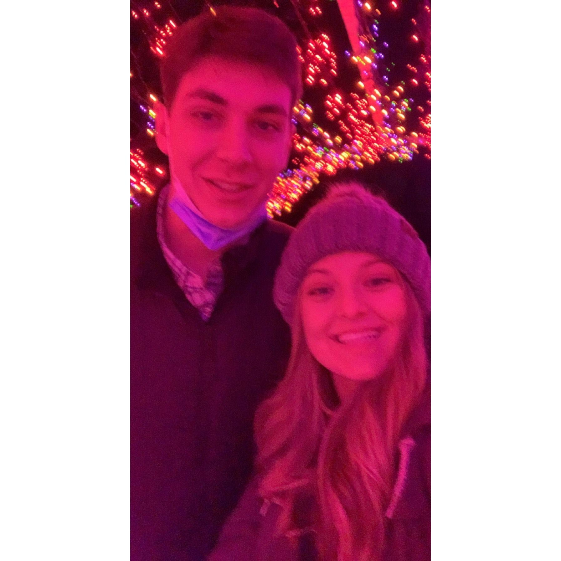 Christmas lights at the botanical gardens in Saint Louis