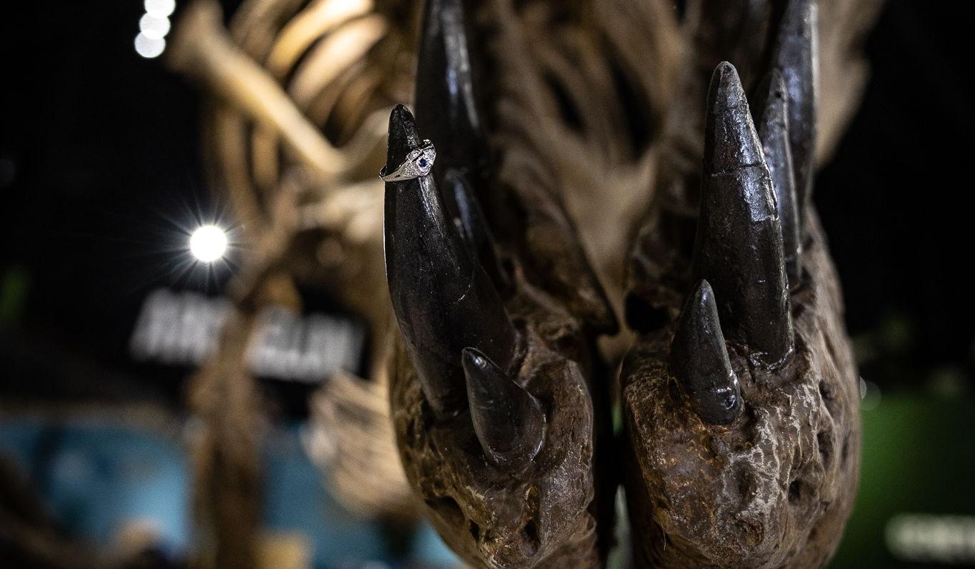 Hero Slideshow Image 2