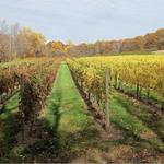 Crystal Ridge Winery