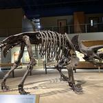 Cleveland Museum of Natural History