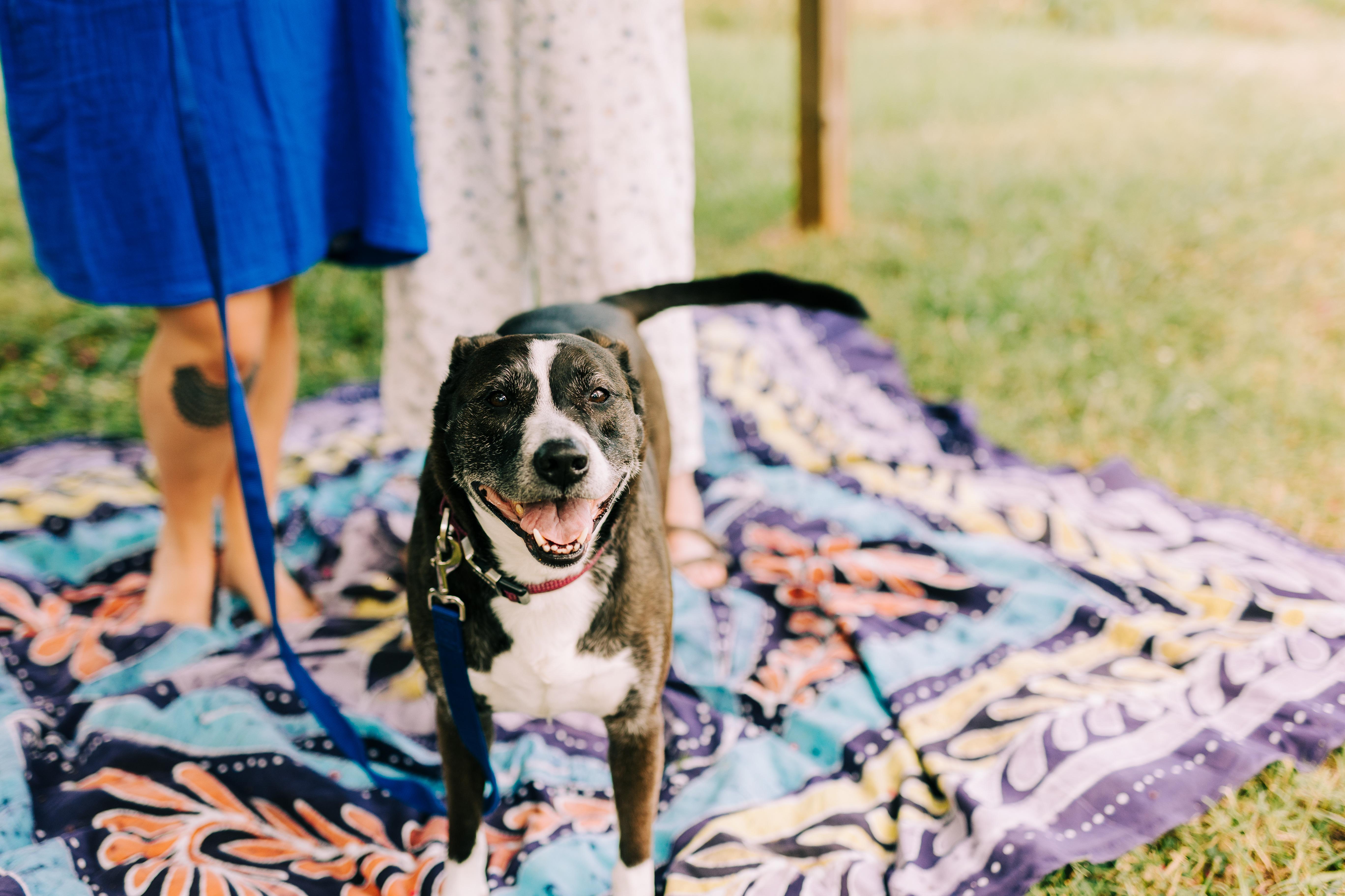 The Wedding Website of Jordan Coffey and Carlye Long