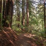 Hiking