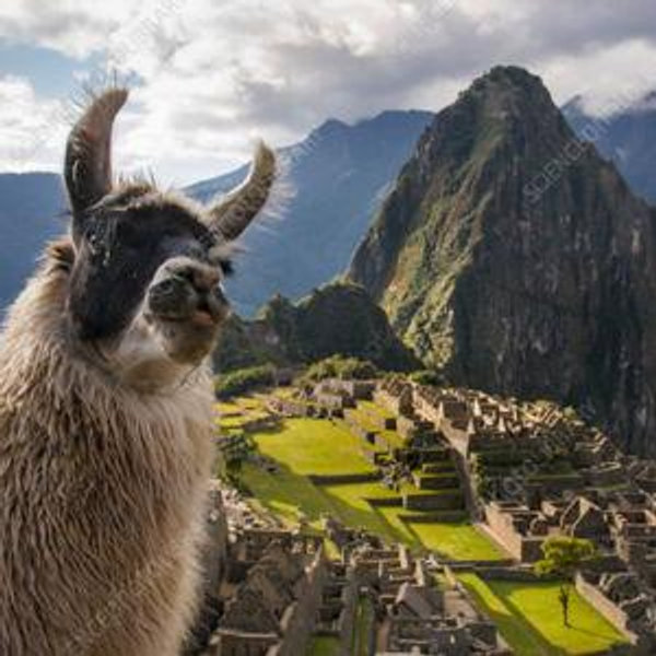Honeymoon in Peru!