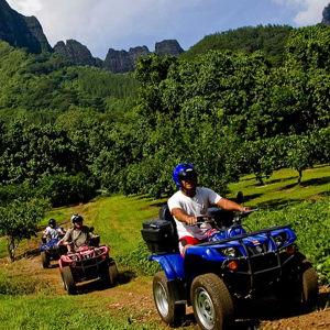 Honeymoon Island ATV Tour