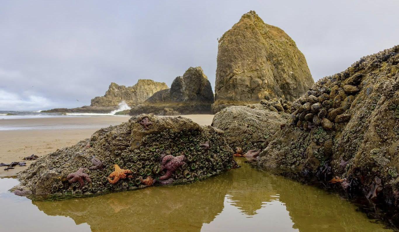 Hero Slideshow Image 2