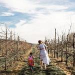 Finnriver Farm and Cidery