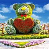 Dubai Miracle Garden